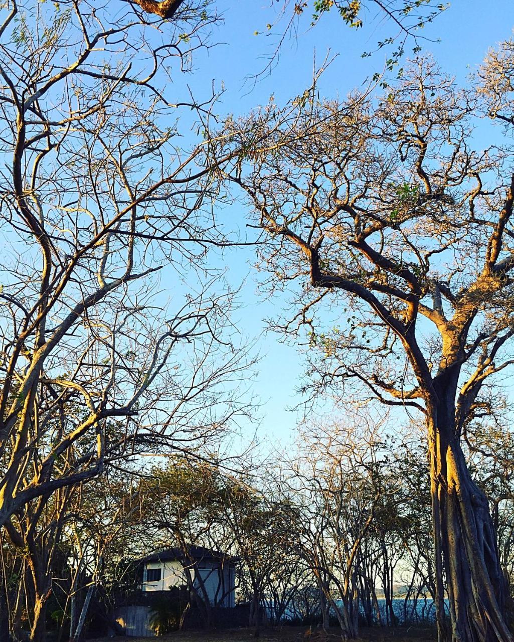 Villa Ethir Tamarindo Zewnętrze zdjęcie